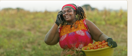 Gambian diaspora buyer